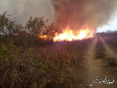 آتش در جزیره آشوراده  مهار شد