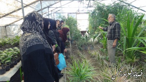 برگزاری کارگاه آموزشی پرورش گل و گیاهان زینتی در بندرترکمن