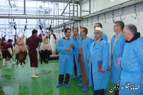 بازدید  اعضای کارگروه سلامت و امنیت غذایی شهرستان ترکمن از کشتارگاه صنعتی اینچه برون