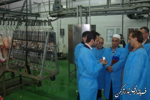 بازدید  اعضای کارگروه سلامت و امنیت غذایی شهرستان ترکمن از کشتارگاه صنعتی اینچه برون