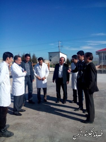 بازدید سرپرست فرمانداری ترکمن از کشتارگاه صنعتی طیور گلستان