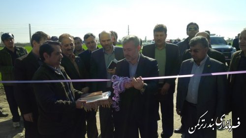 پروژه پرواربندی گوساله رأسی در شهرستان ترکمن افتتاح شد