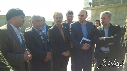 پروژه پرواربندی گوساله رأسی در شهرستان ترکمن افتتاح شد