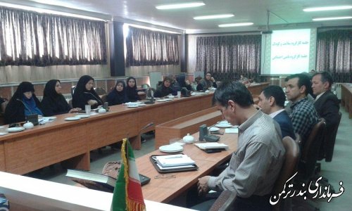 جلسه کارگروه امور بانوان و خانواده شهرستان ترکمن برگزار شد