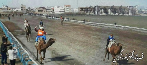 برگزاری دومین دوره مسابقات شتردوانی شمال کشور در شهرستان ترکمن 