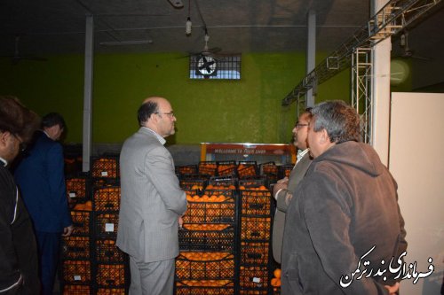 بازدید فرماندار از مراکز طرح تنظیم بازار شهرستان ترکمن