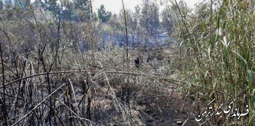 آتش سوزی در جزیره آشوراده با حضور به موقع نیروهای امدادی مهار شد
