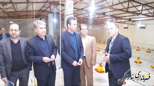 افتتاح پروژه مرغداری گوشتی 75000 قطعه ای  در شهرستان ترکمن