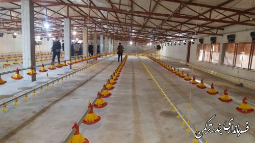افتتاح پروژه مرغداری گوشتی 75000 قطعه ای  در شهرستان ترکمن
