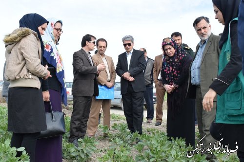 بازدید سرپرست فرمانداری ترکمن از مشاغل خانگی زنان روستایی سیجوال