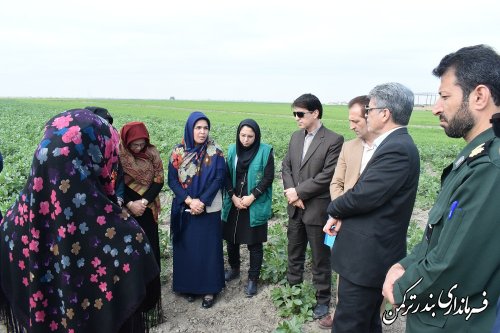 بازدید سرپرست فرمانداری ترکمن از مشاغل خانگی زنان روستایی سیجوال 