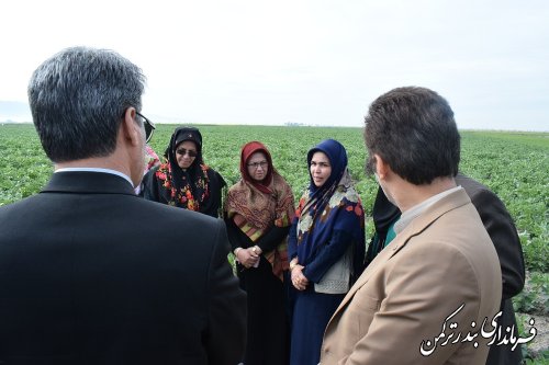 بازدید سرپرست فرمانداری ترکمن از مشاغل خانگی زنان روستایی سیجوال
