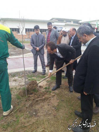 مراسم درختکاری در جوار مزار شهدای گمنام شهرستان ترکمن