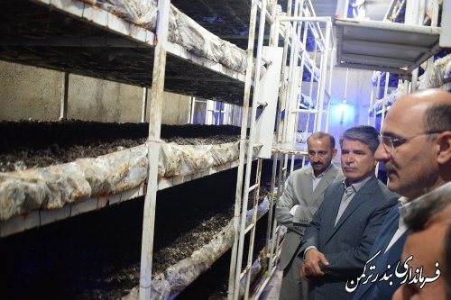 افتتاح کارگاه تولید قارچ خوراکی  مهارت آموخته مرکز آموزش فنی و حرفه ای شهرستان ترکمن