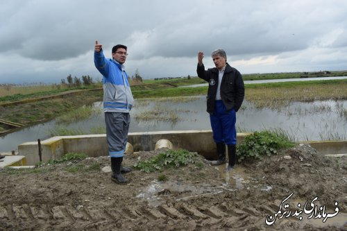 بازدید فرماندار ترکمن از آب بندان شیلات