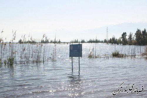 بازدید  فرماندار ترکمن از وضعیت سیلاب رودخانه قره سو و پل نیازآباد