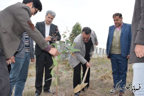 آغاز طرح ملی نهضت نهال کاری در شهرستان ترکمن