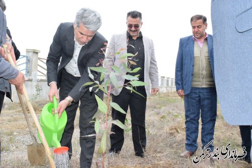 آغاز طرح ملی نهضت نهال کاری در شهرستان ترکمن