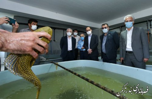 استاندار گلستان بر لزوم تقویت مراکز تحقیقاتی استان تاکید کرد
