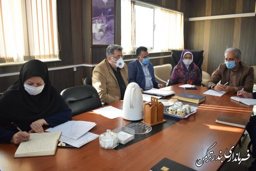 بررسی معضلات و مشکلات واحد تولیدی کیانیان شمال در شهرستان ترکمن