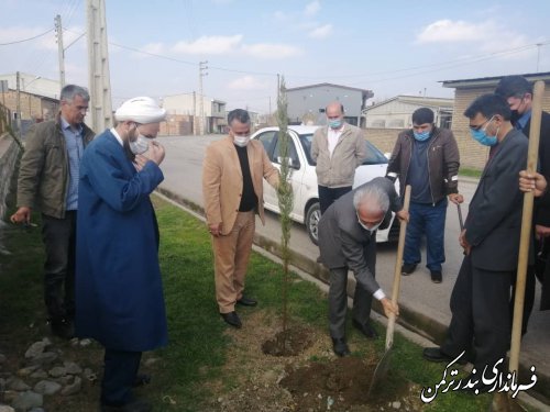 کاشت نهال در شهر تازه تاسیس سیجوال با حضور فرماندار شهرستان ترکمن