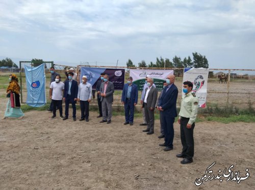 افتتاح اولین آموزشگاه پرورش اسب وسوارکاری شمال کشور در شهرستان ترکمن