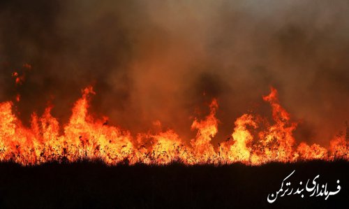 مهار آتش سوزی در جزیره آشوراده