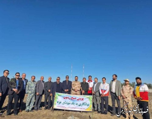 غرس ۱۲۵ اصله نهال زیتون برای ادای احترام به شهدای غزه در بندرترکمن
