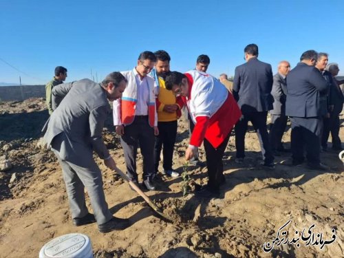 غرس ۱۲۵ اصله نهال زیتون برای ادای احترام به شهدای غزه در بندرترکمن