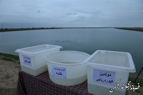 آیین افتتاحیه پروژه سد مخزنی سیجوال با حضور دکتر زنگانه استاندار گلستان برگزار شد